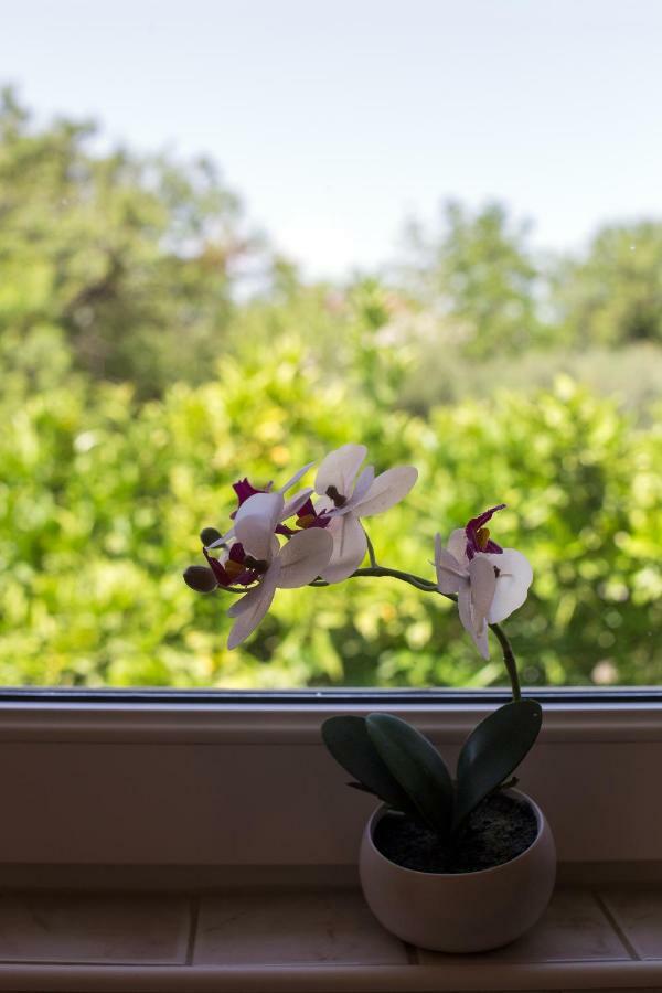 Villa Bosko Kastela Dış mekan fotoğraf