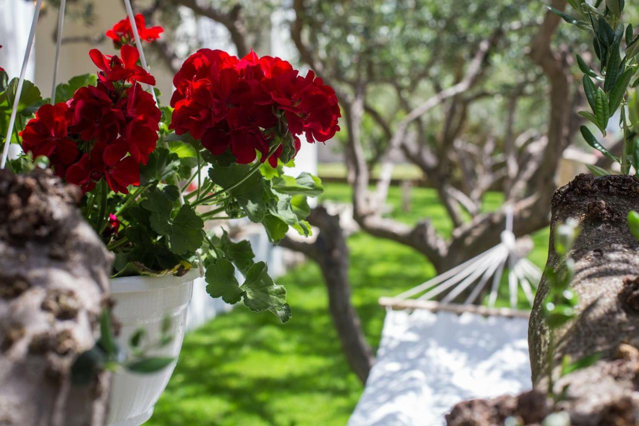 Villa Bosko Kastela Dış mekan fotoğraf